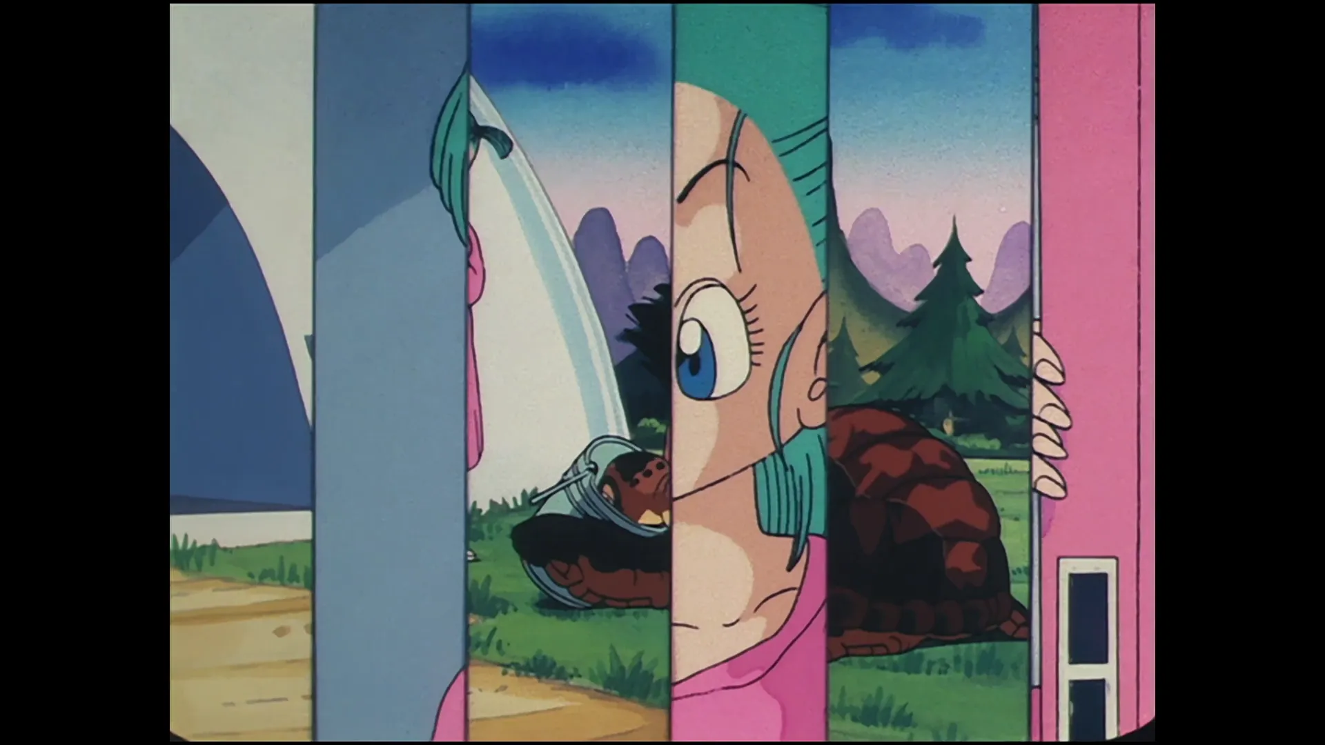 The emperors quest — capture 29 sur 30 (Dragon Ball)