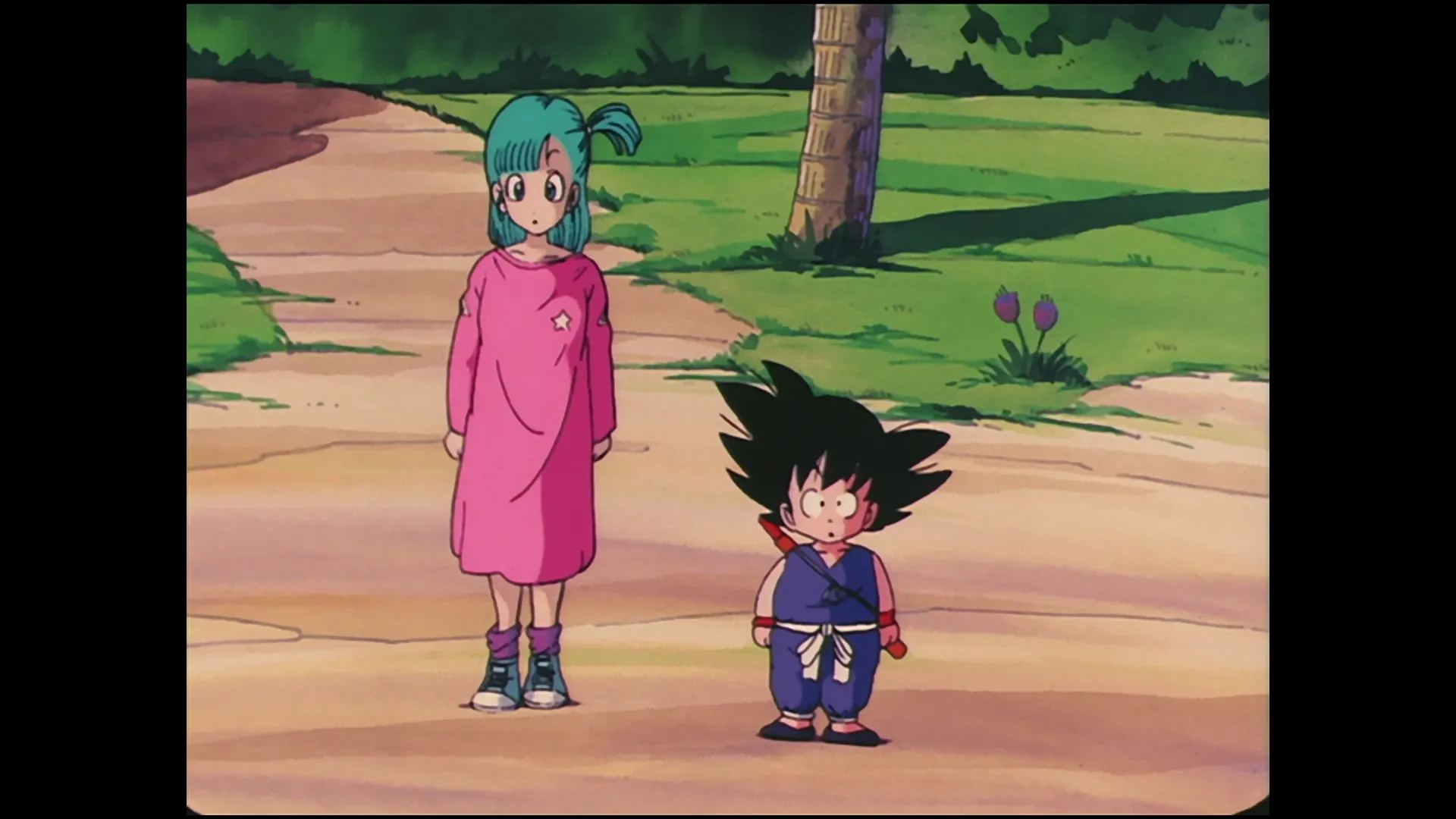The nimbus cloud of roshi — capture 11 sur 30 (Dragon Ball)