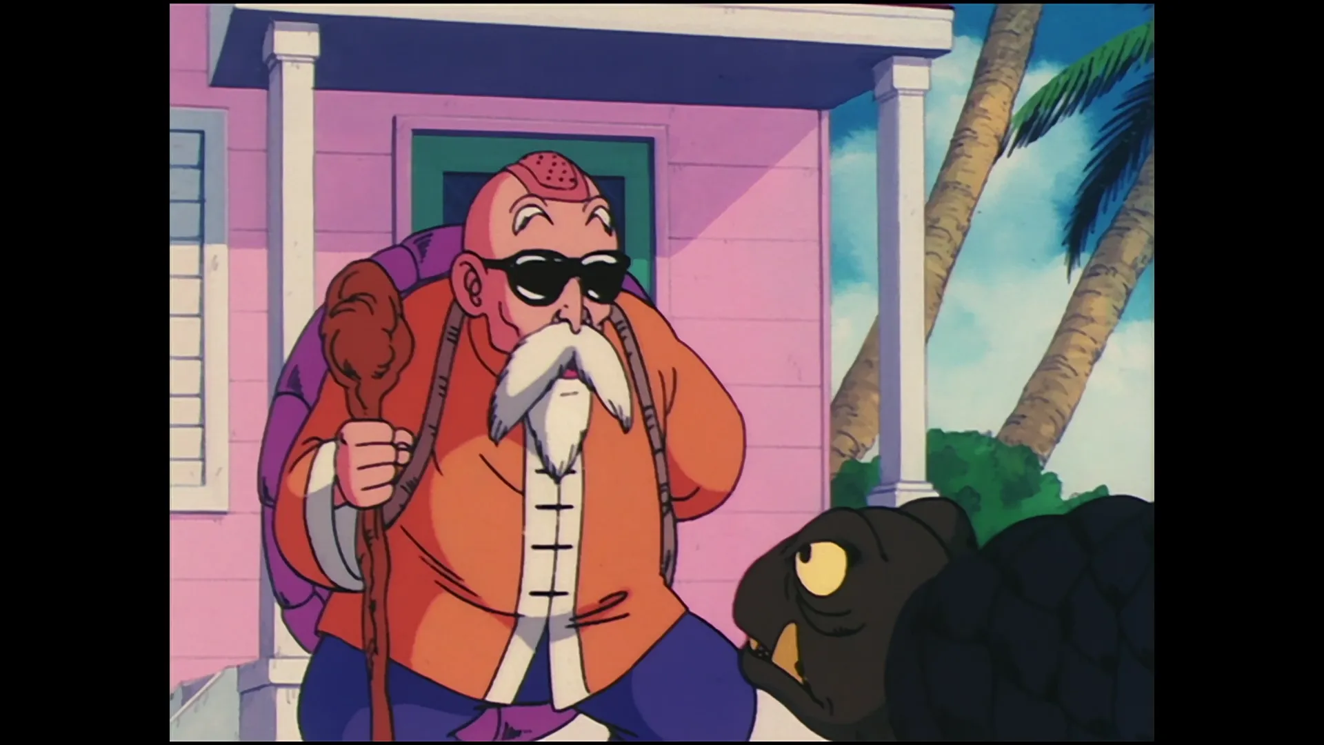 The kamehameha wave — capture 9 sur 30 (Dragon Ball)