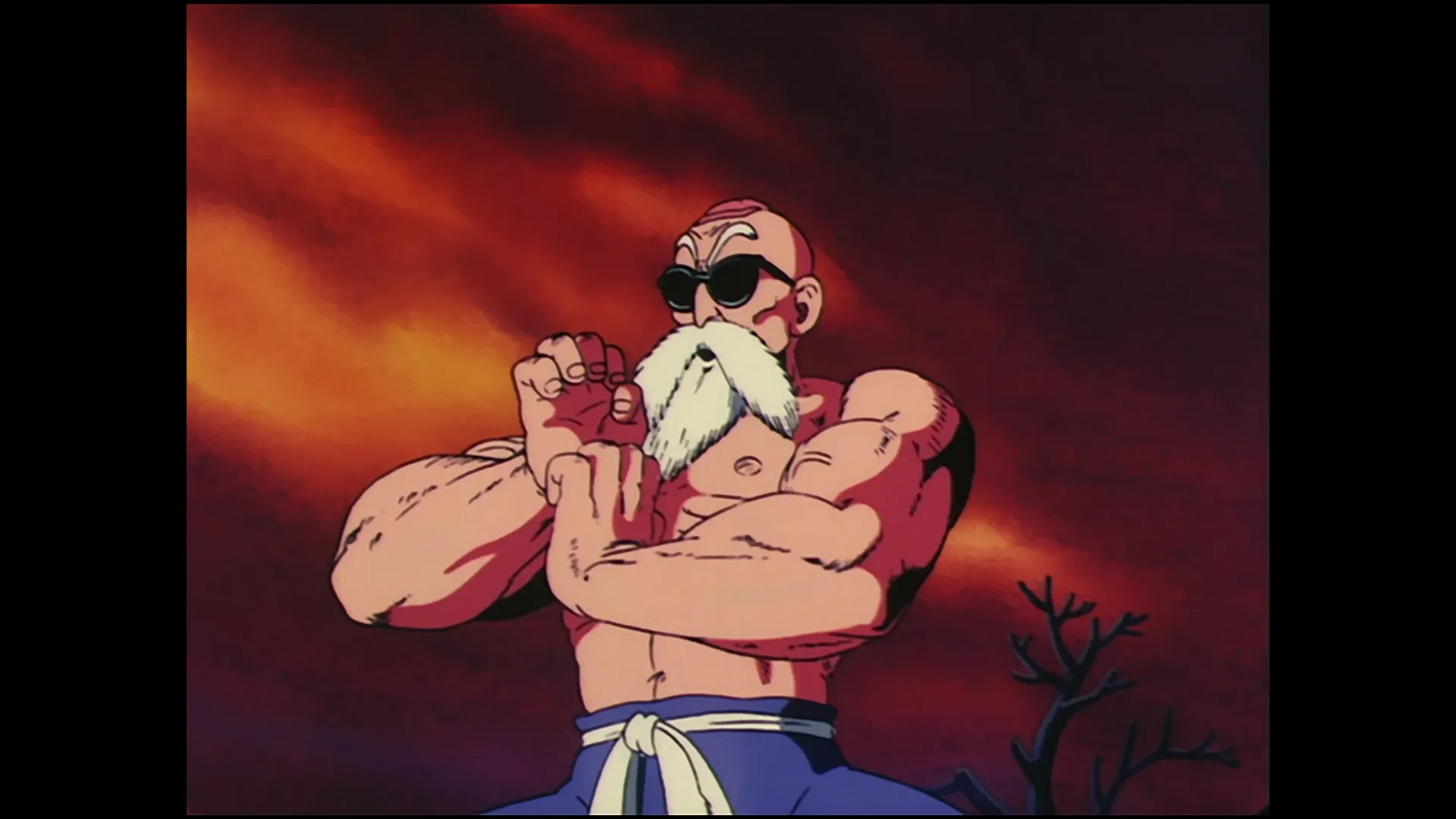 The kamehameha wave — capture 18 sur 30 (Dragon Ball)
