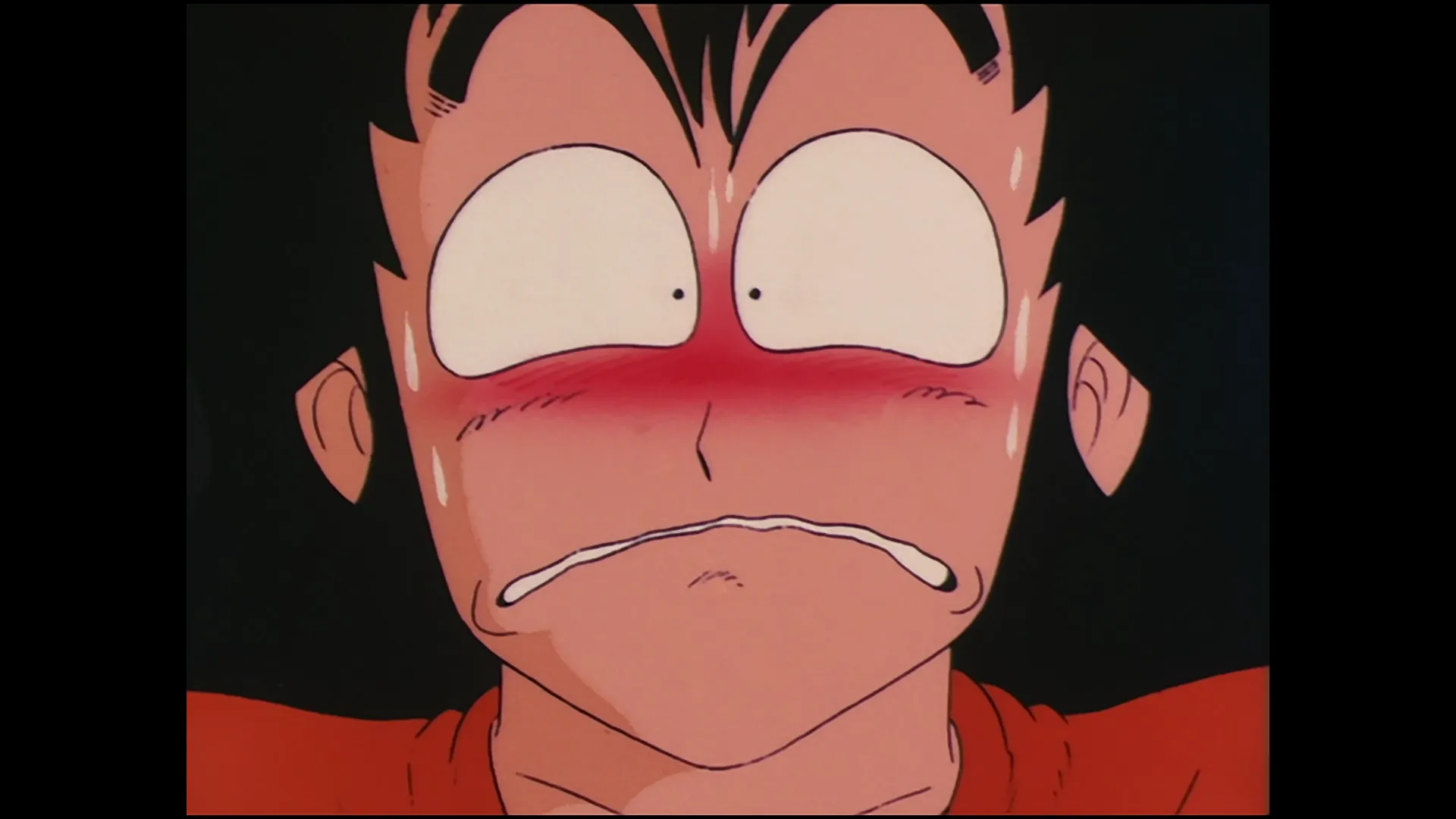 The dragon balls are stolen — capture 20 sur 30 (Dragon Ball)