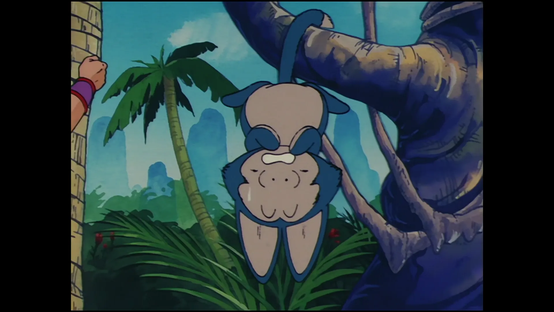 Gokus rival — capture 1 sur 30 (Dragon Ball)
