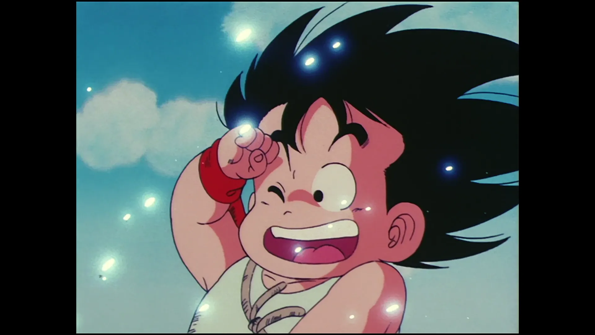 Gokus rival — capture 5 sur 30 (Dragon Ball)