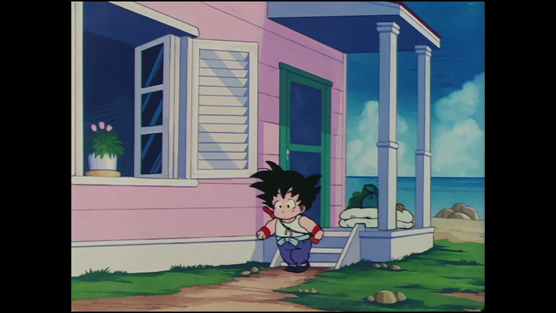 Gokus rival — capture 7 sur 30 (Dragon Ball)