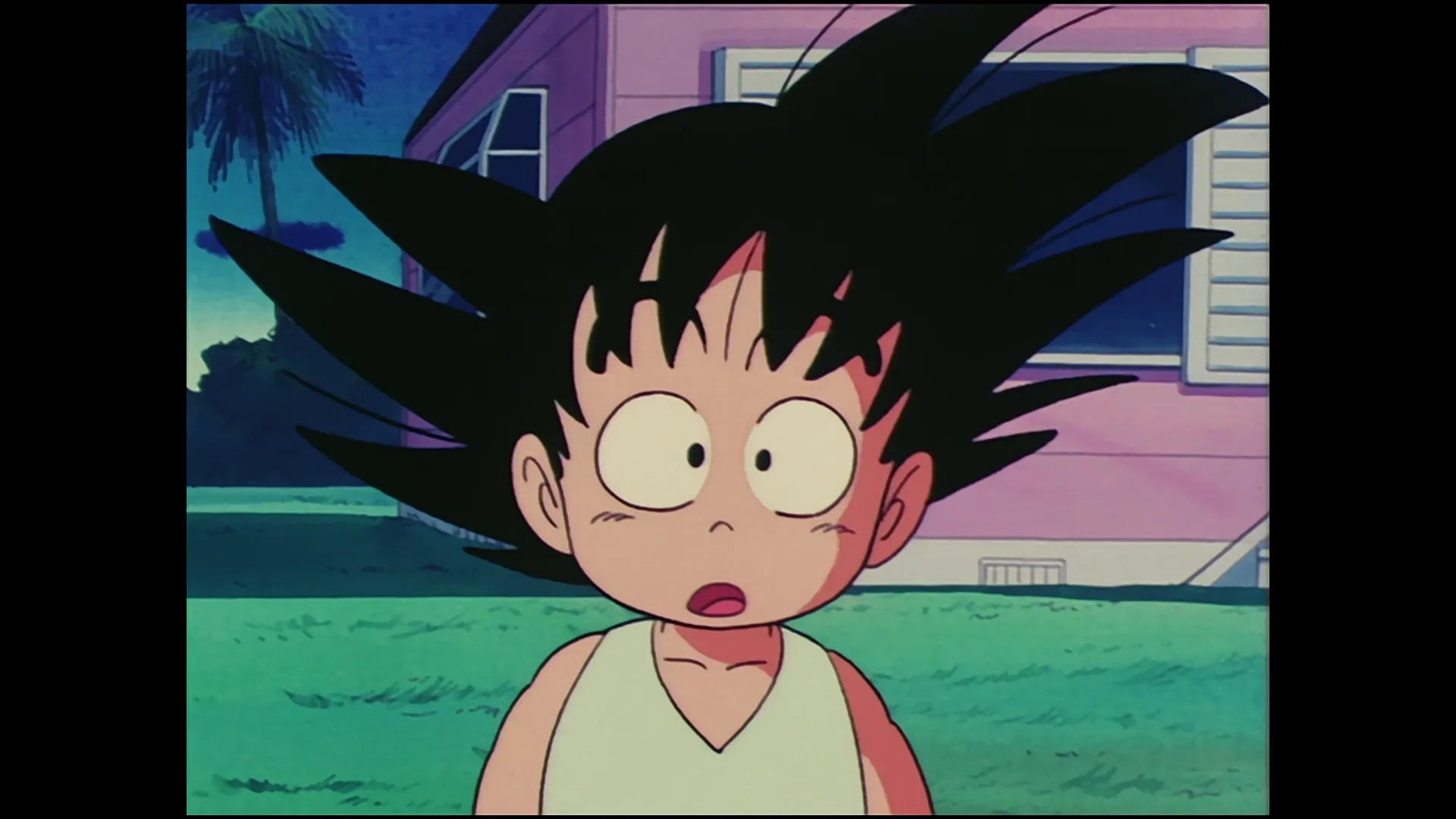 Milk delivery — capture 9 sur 30 (Dragon Ball)