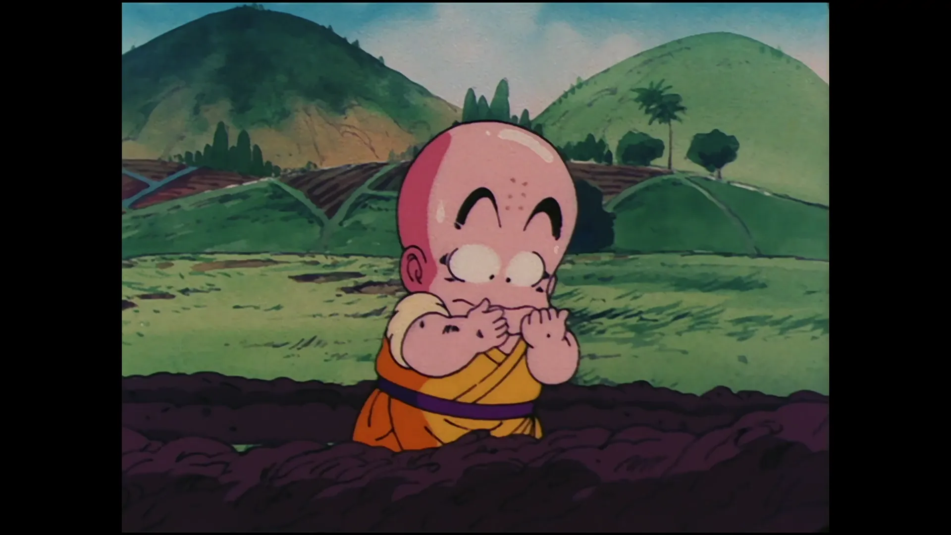 The turtle hermit way — capture 6 sur 30 (Dragon Ball)