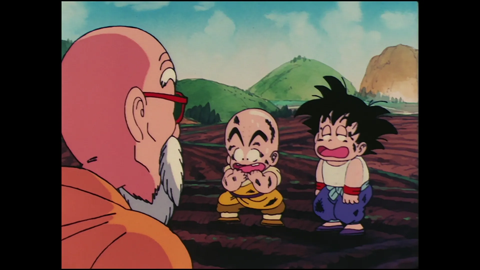 The turtle hermit way — capture 7 sur 30 (Dragon Ball)