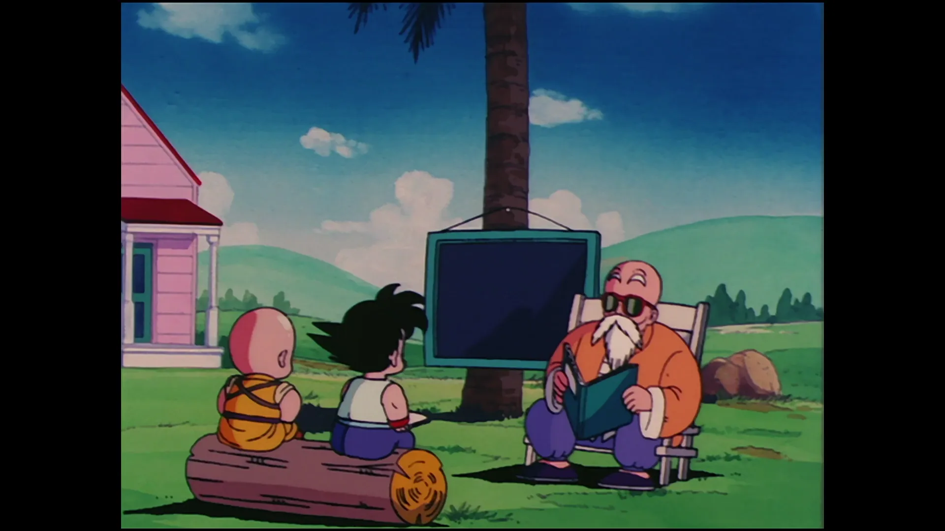 The turtle hermit way — capture 12 sur 30 (Dragon Ball)