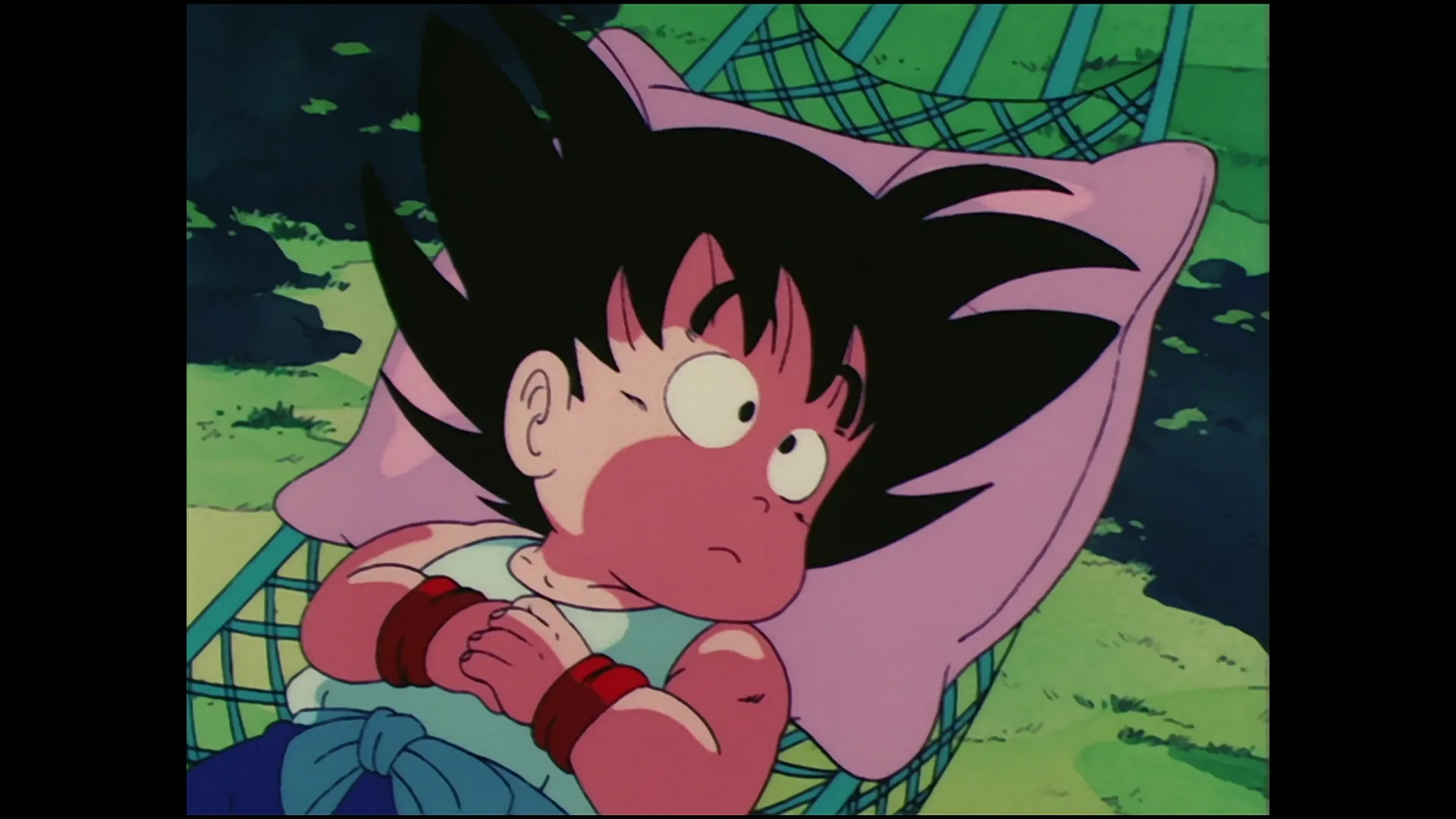 The turtle hermit way — capture 14 sur 30 (Dragon Ball)