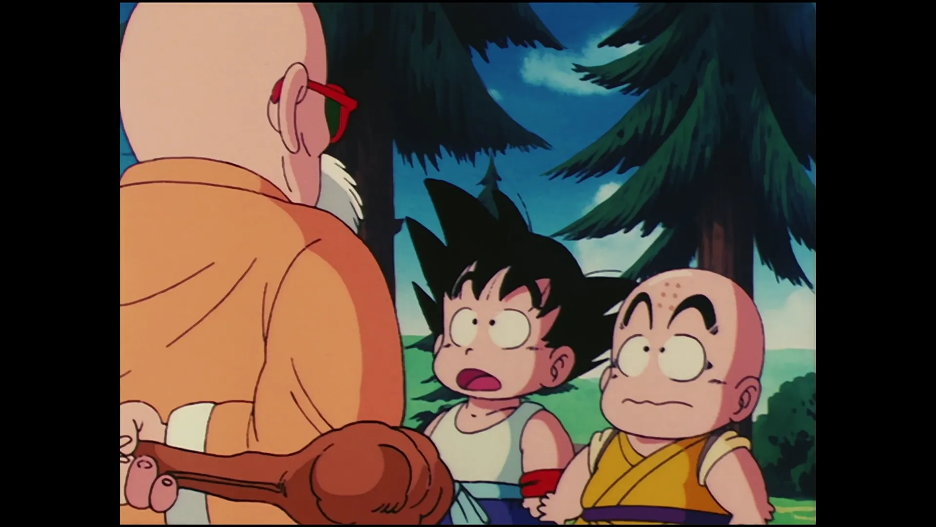 The turtle hermit way — capture 21 sur 30 (Dragon Ball)