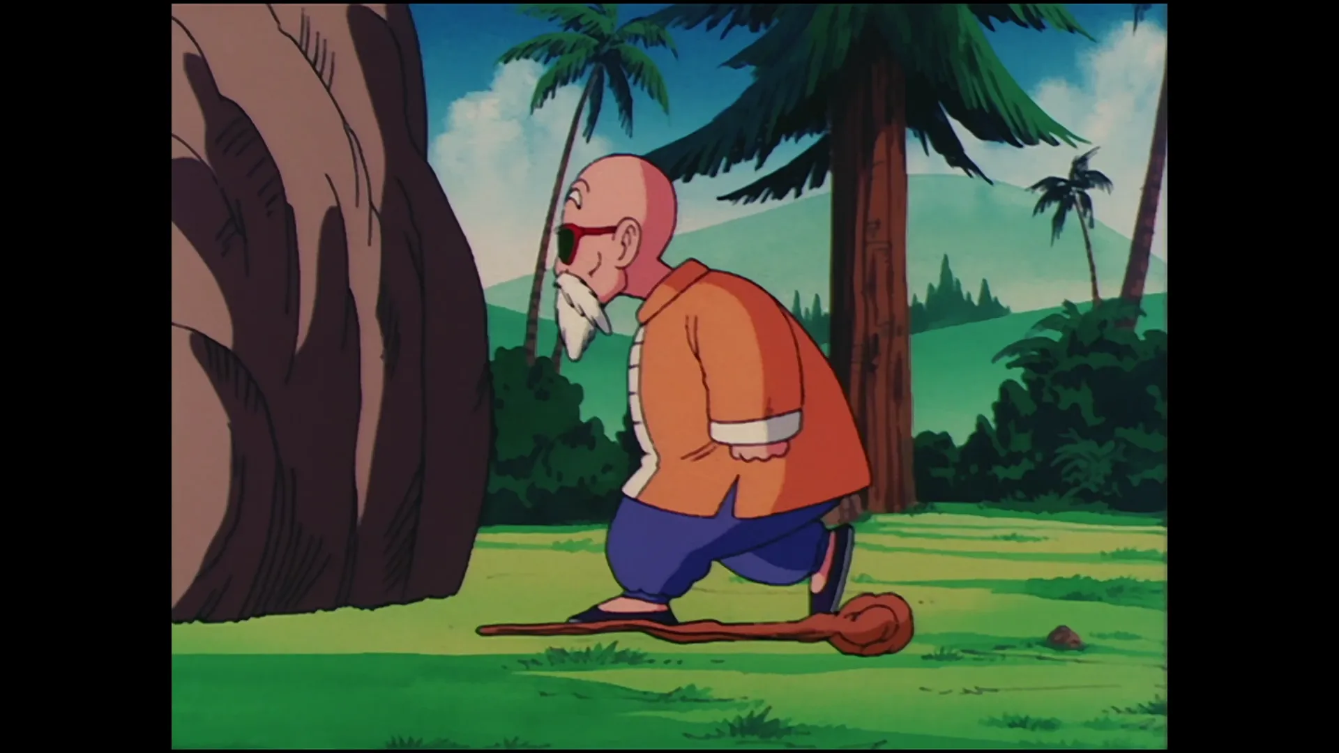 The turtle hermit way — capture 22 sur 30 (Dragon Ball)
