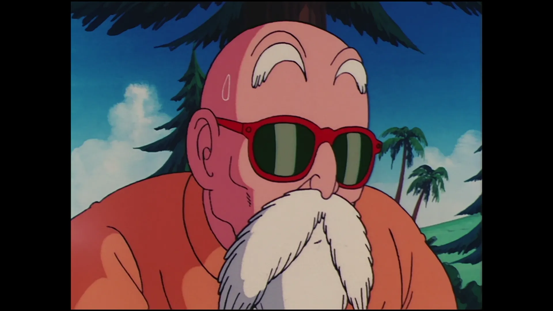 The turtle hermit way — capture 24 sur 30 (Dragon Ball)