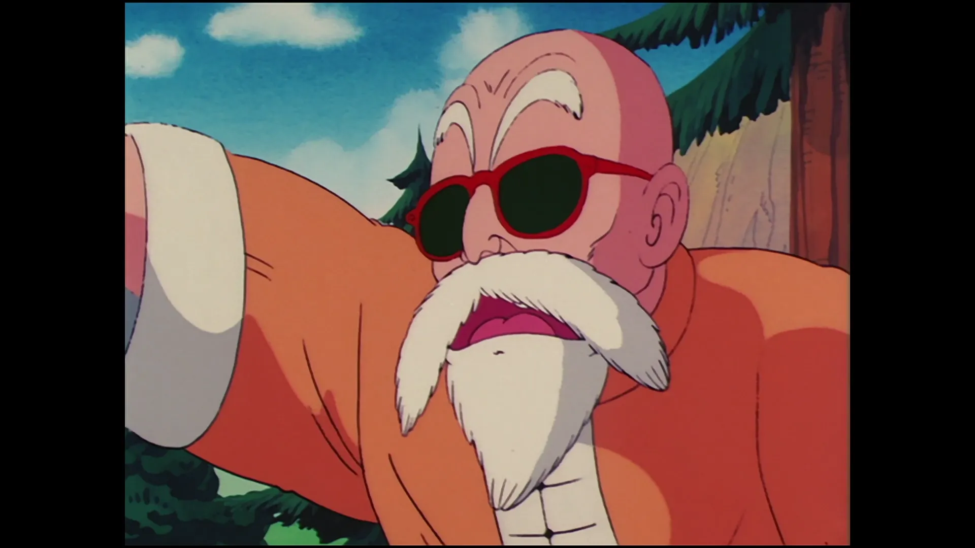 The turtle hermit way — capture 26 sur 30 (Dragon Ball)