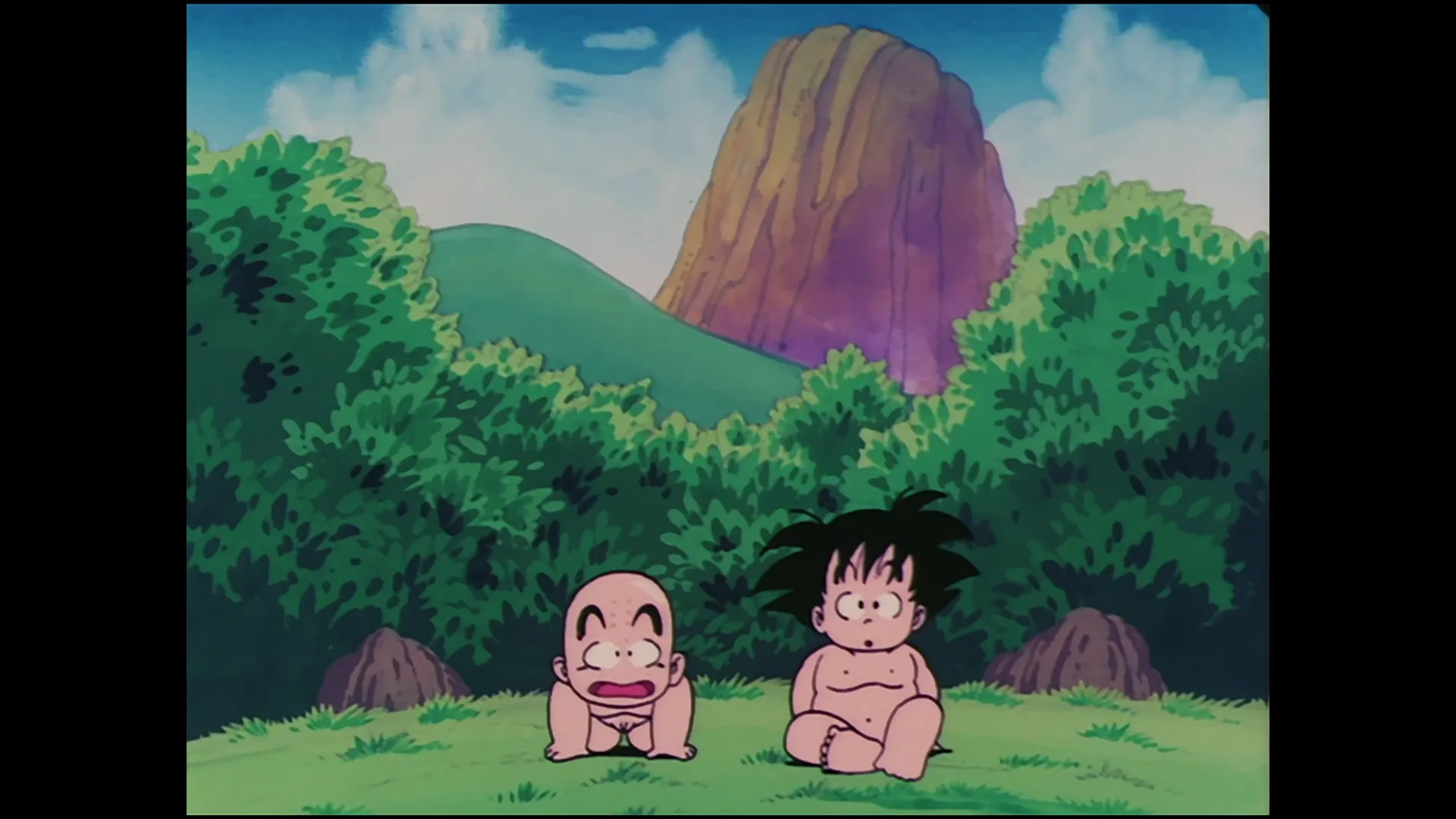 The turtle hermit way — capture 28 sur 30 (Dragon Ball)
