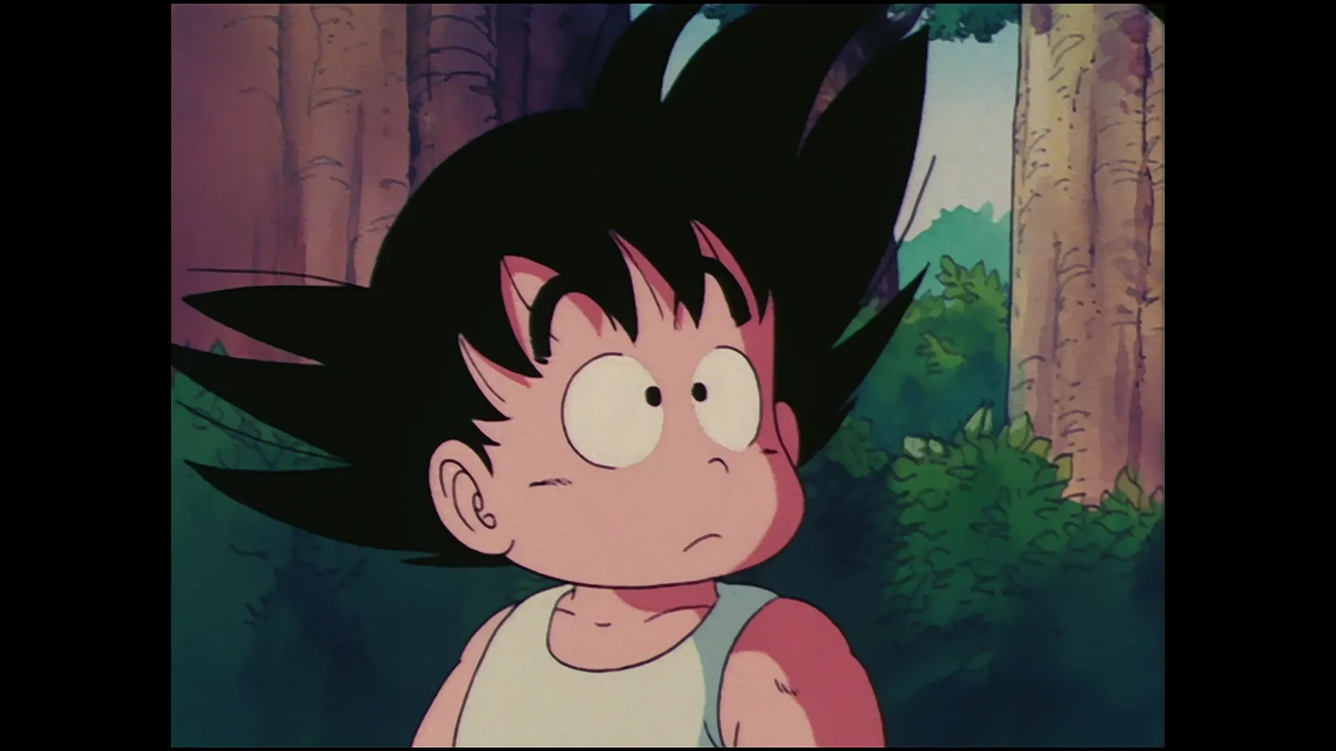 The turtle hermit way — capture 30 sur 30 (Dragon Ball)