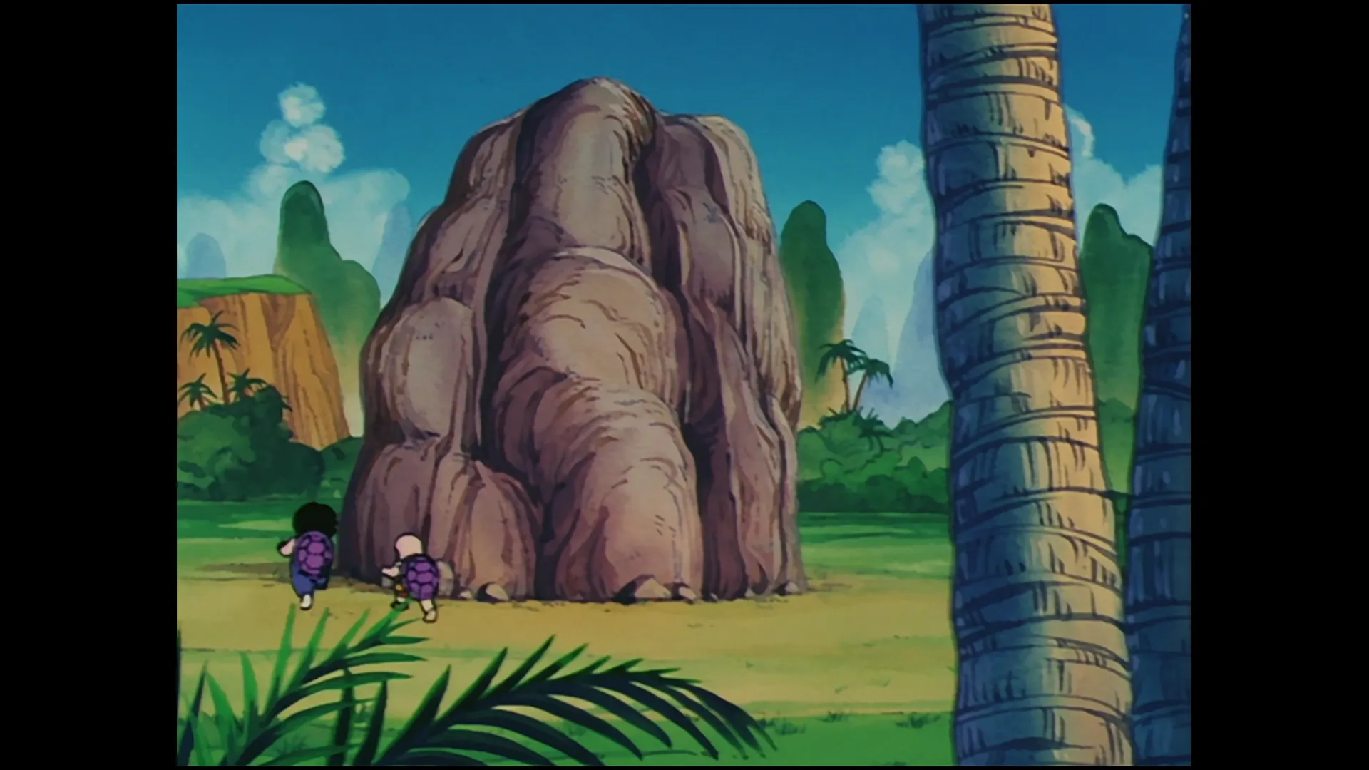 The tournament begins — capture 2 sur 30 (Dragon Ball)