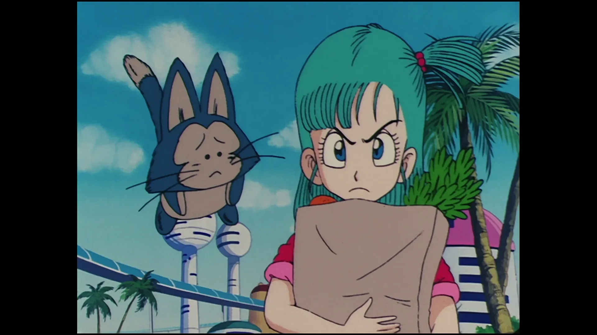 The tournament begins — capture 15 sur 30 (Dragon Ball)