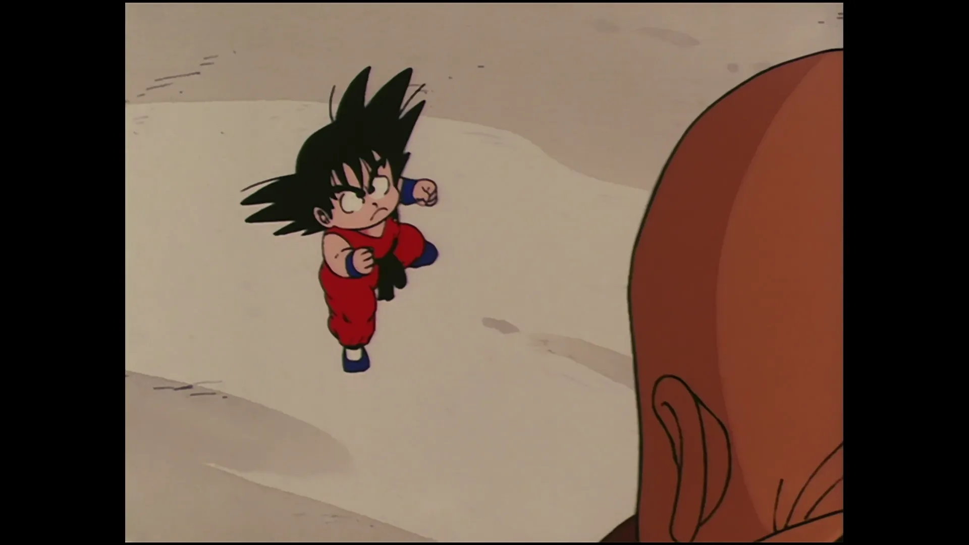 Elimination round — capture 9 sur 30 (Dragon Ball)