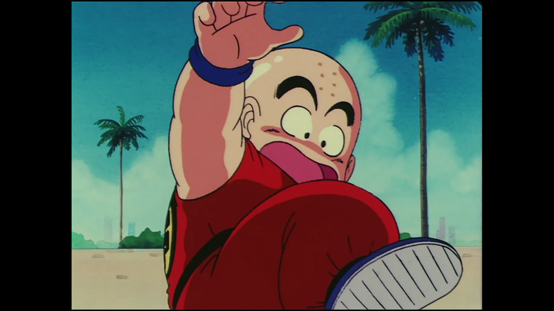 Krillins frantic attack — capture 22 sur 30 (Dragon Ball)