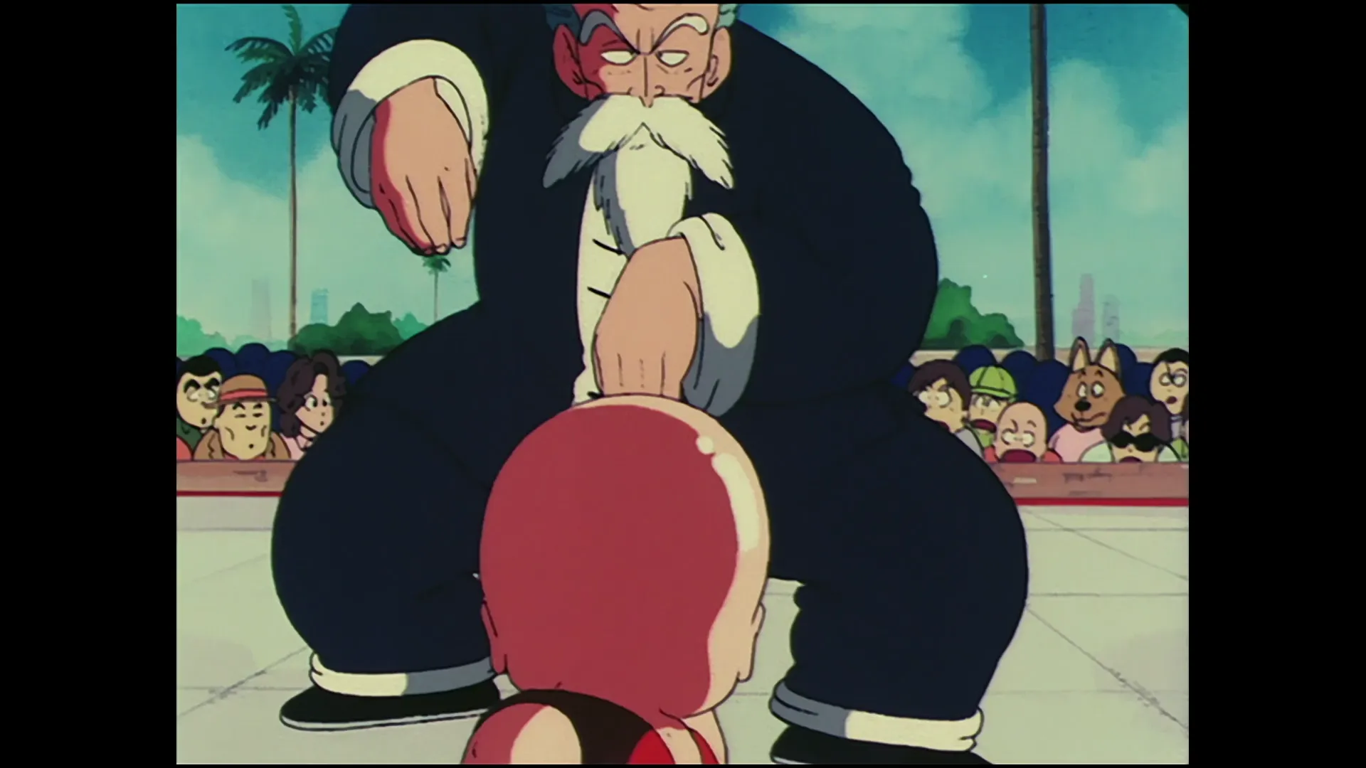 Krillins frantic attack — capture 24 sur 30 (Dragon Ball)