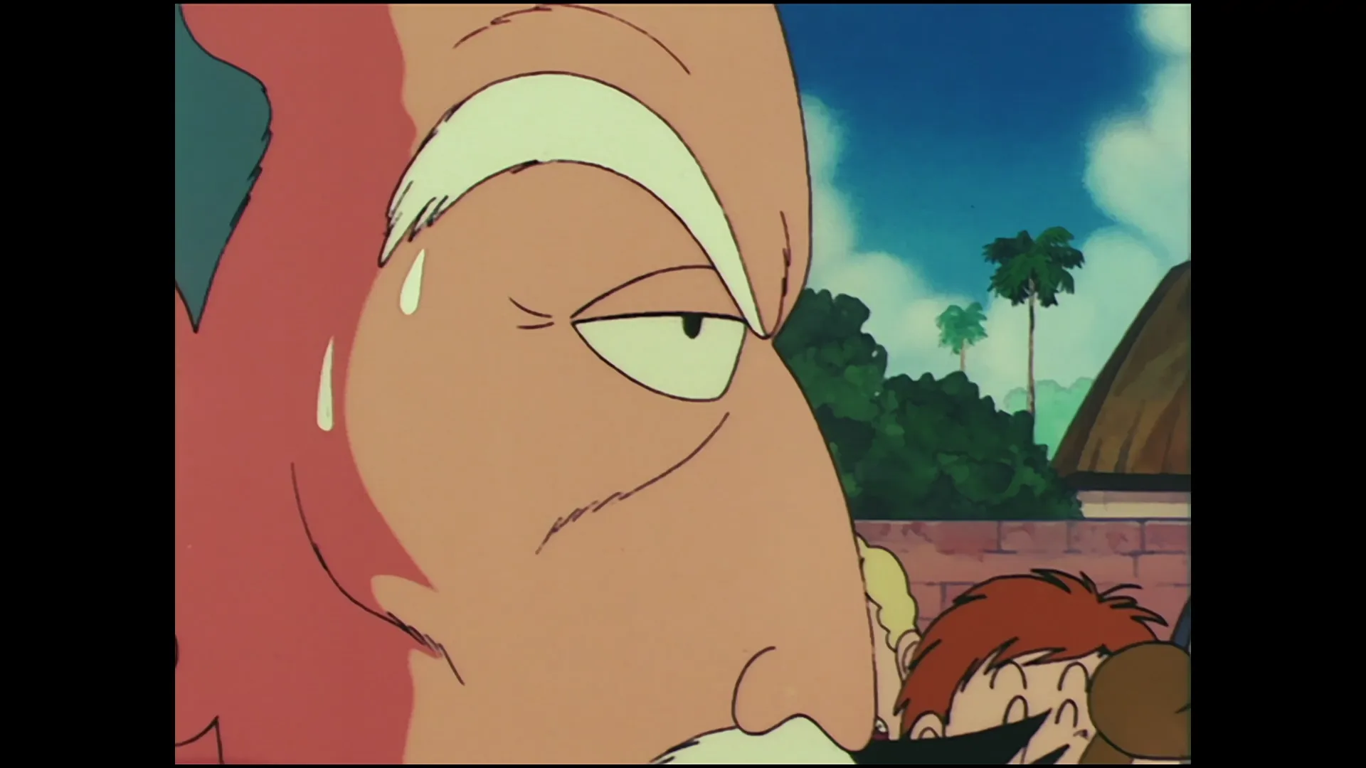The grand finals — capture 12 sur 30 (Dragon Ball)