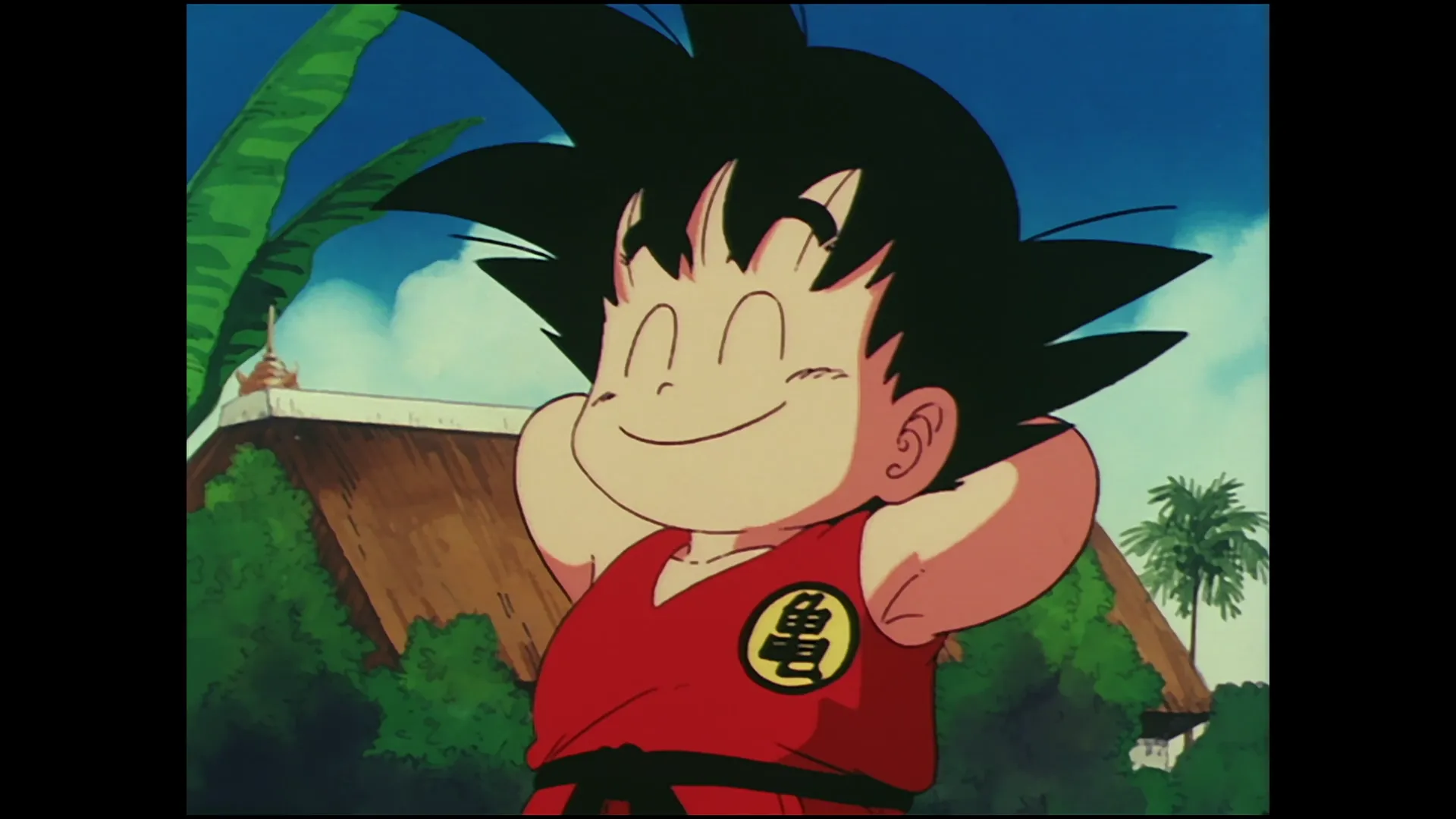 The grand finals — capture 16 sur 30 (Dragon Ball)