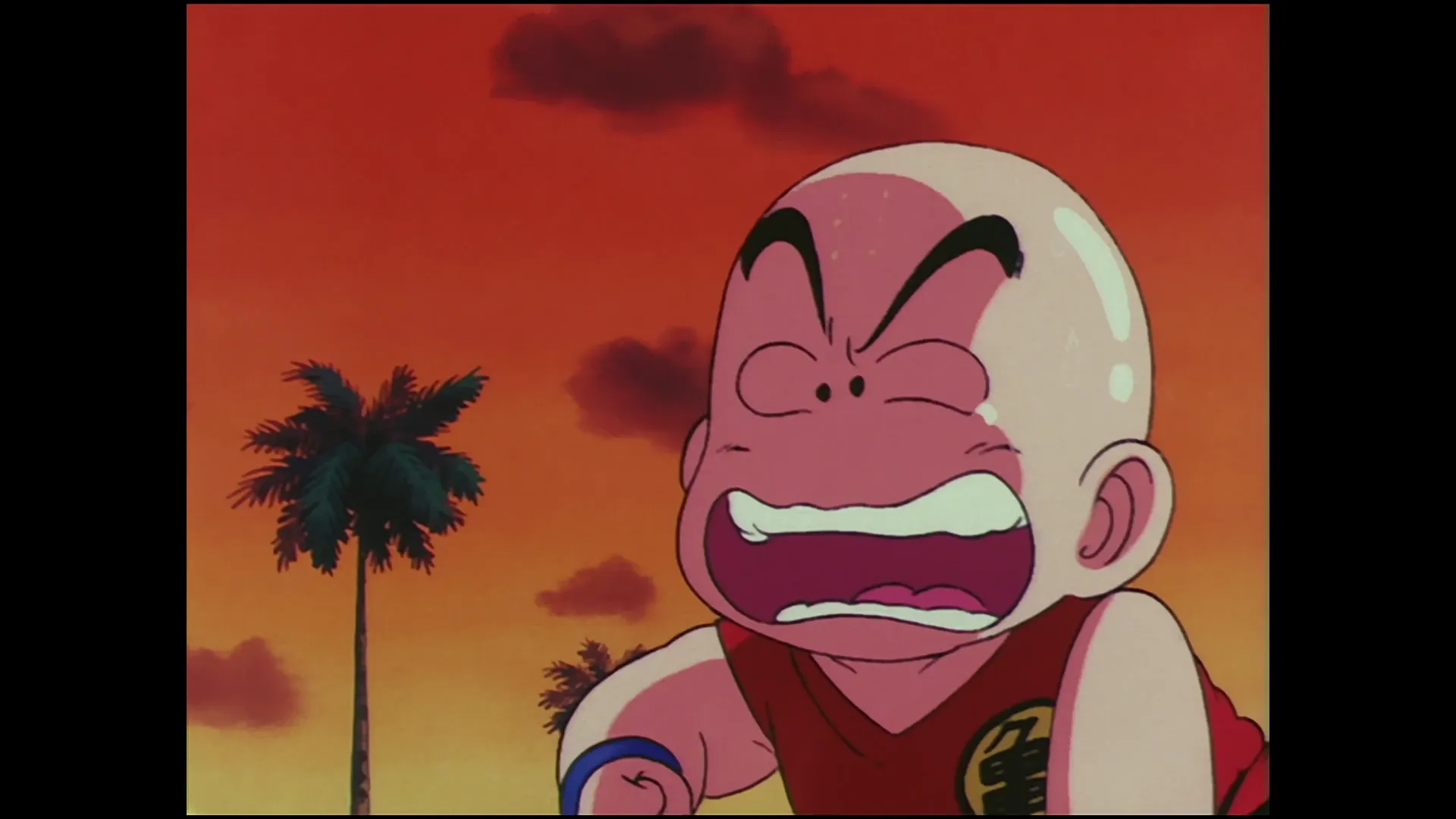 The final blow — capture 2 sur 30 (Dragon Ball)