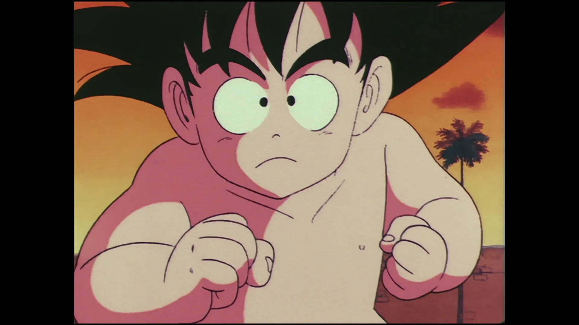 The final blow — capture 6 sur 30 (Dragon Ball)
