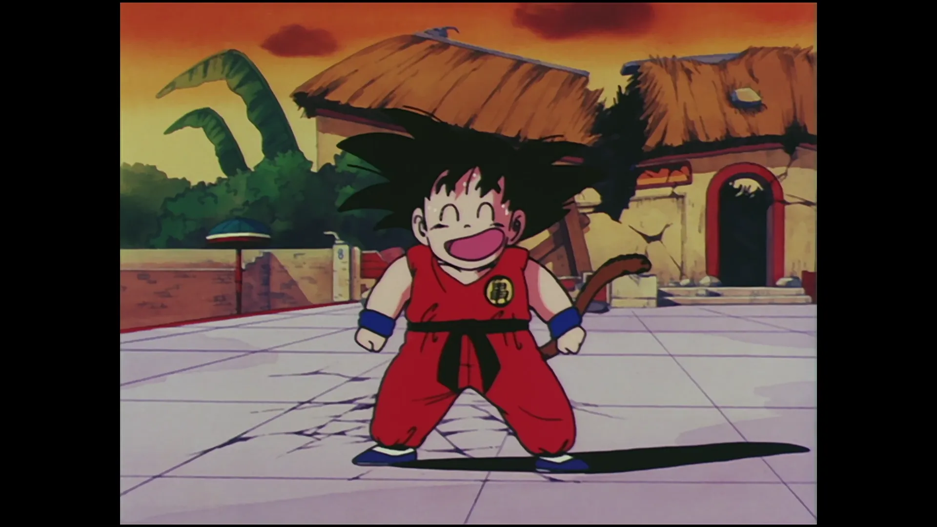 The final blow — capture 21 sur 30 (Dragon Ball)