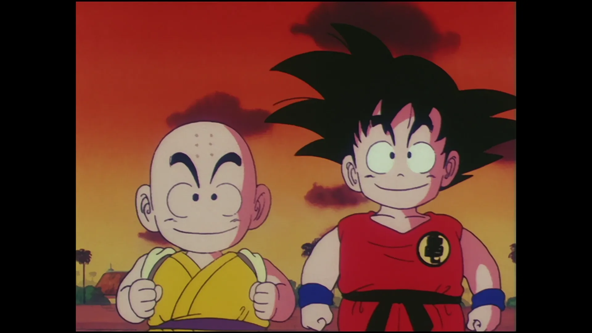 The final blow — capture 29 sur 30 (Dragon Ball)