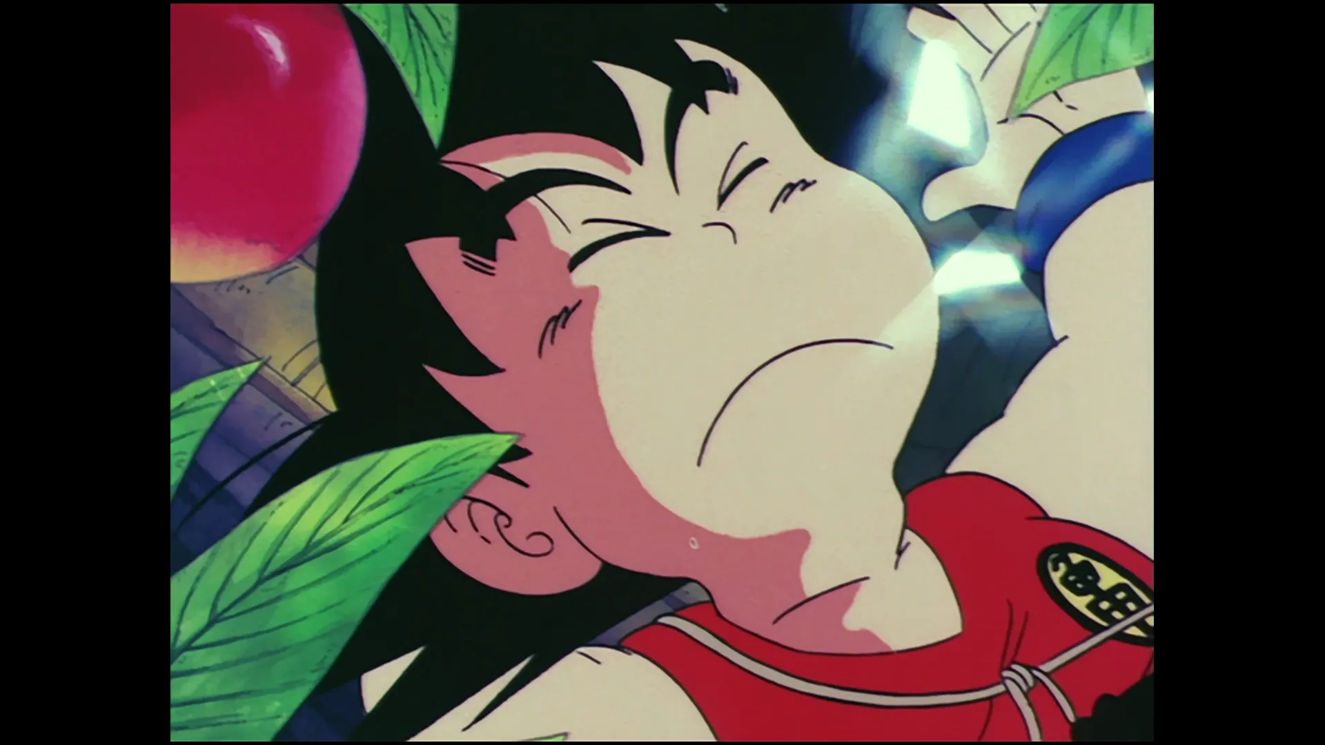 Wedding plans — capture 21 sur 30 (Dragon Ball)