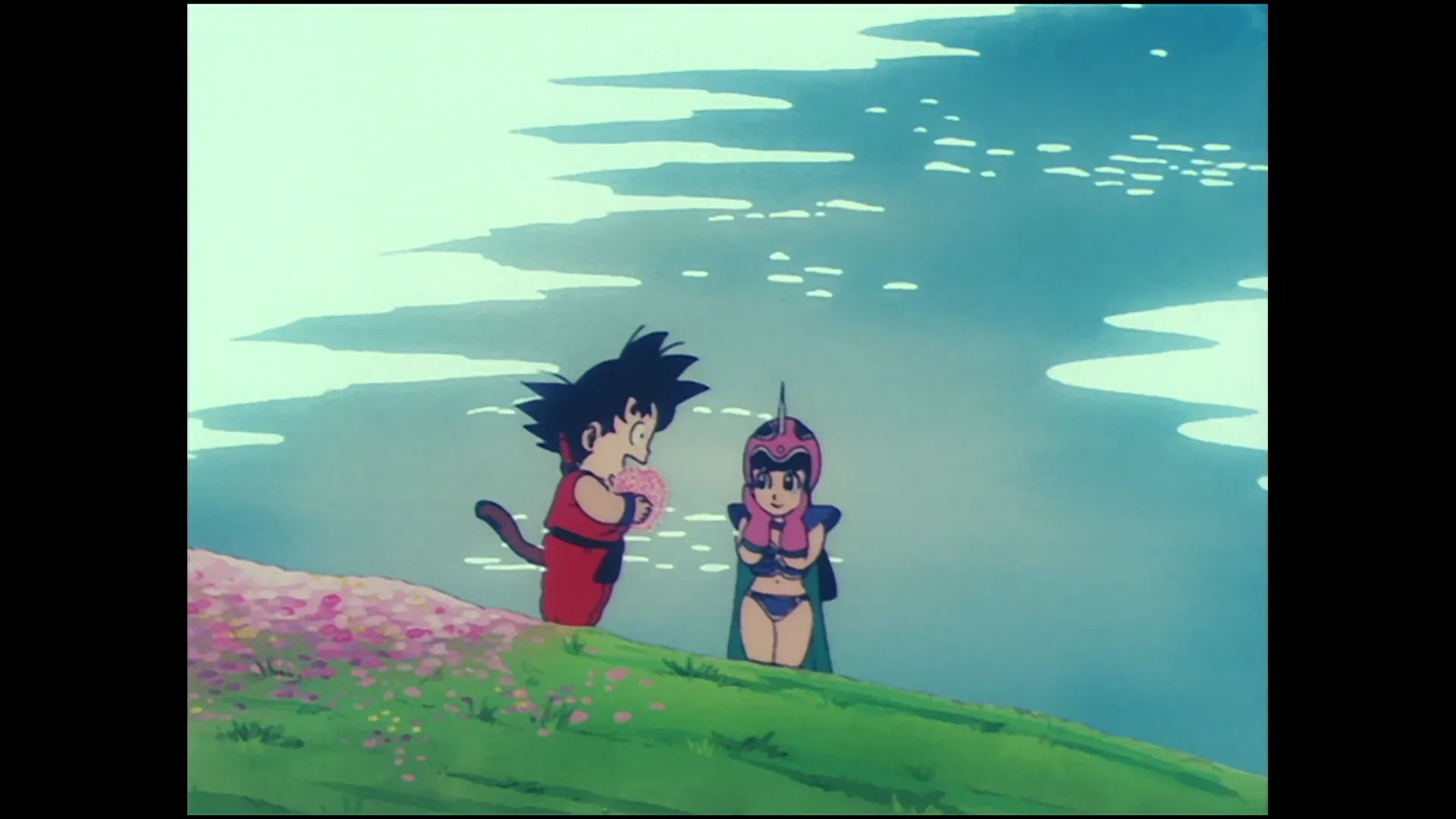 Wedding plans — capture 22 sur 30 (Dragon Ball)