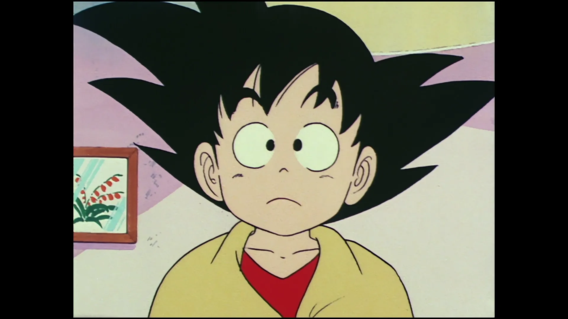 Cold reception — capture 10 sur 30 (Dragon Ball)