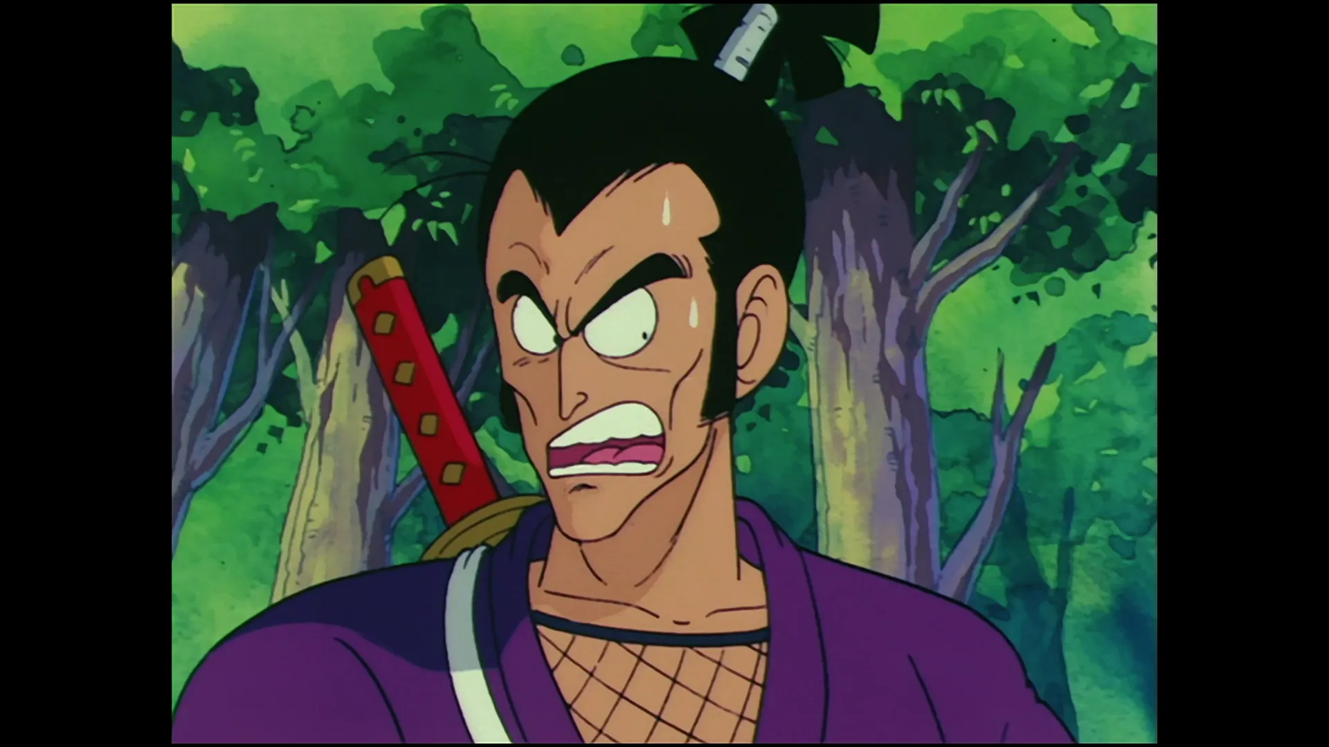 Ninja murasaki is coming — capture 12 sur 30 (Dragon Ball)