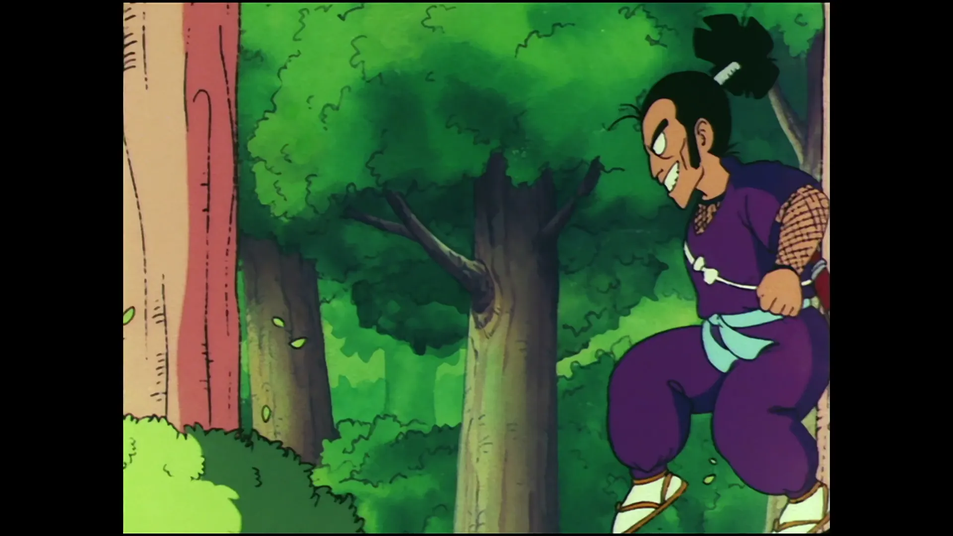 Five murasakis — capture 22 sur 30 (Dragon Ball)