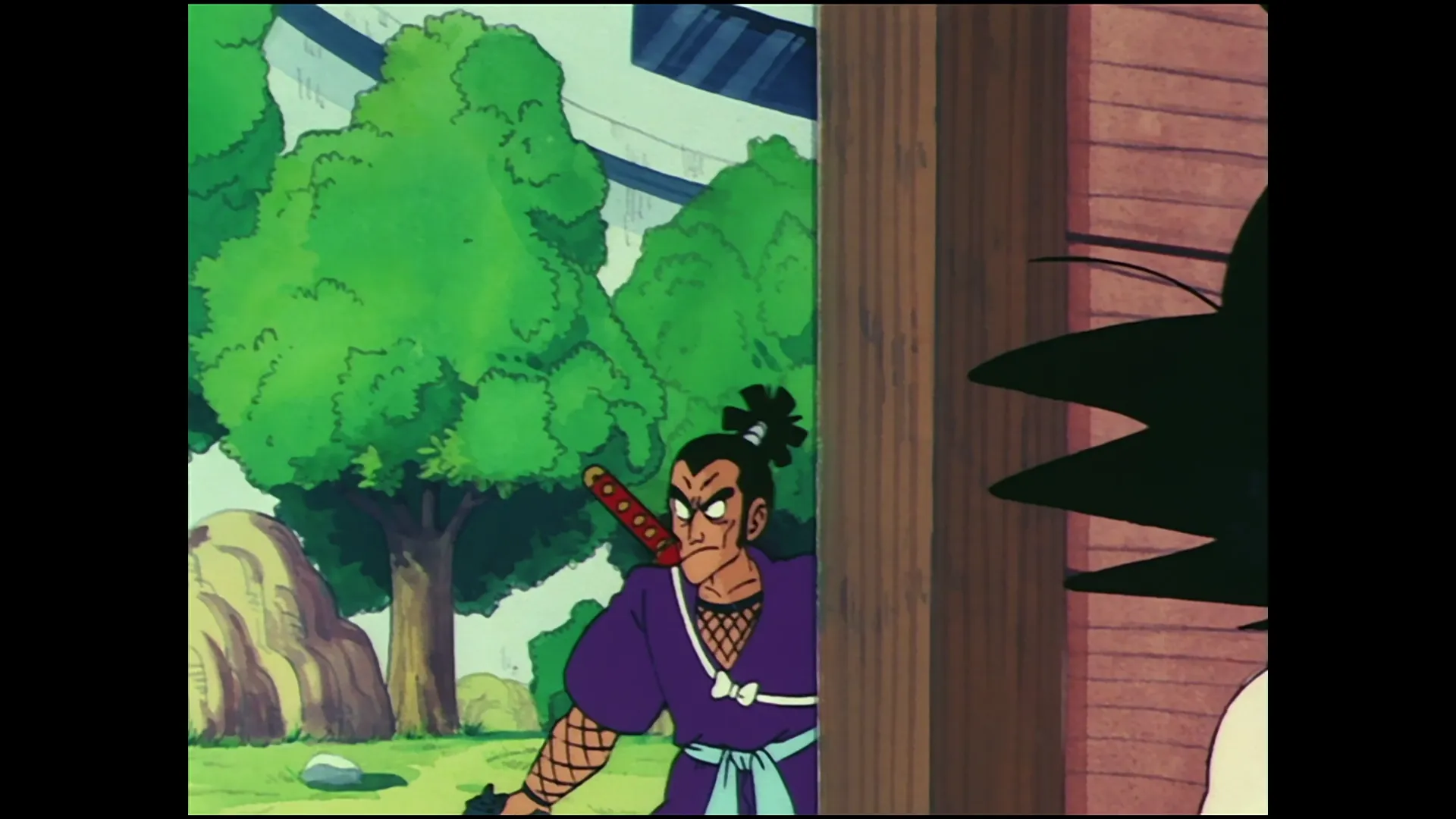 Five murasakis — capture 23 sur 30 (Dragon Ball)