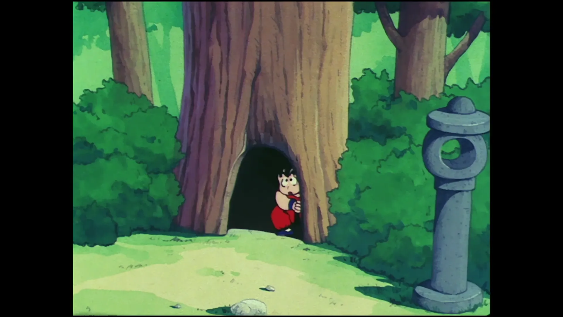 Five murasakis — capture 24 sur 30 (Dragon Ball)