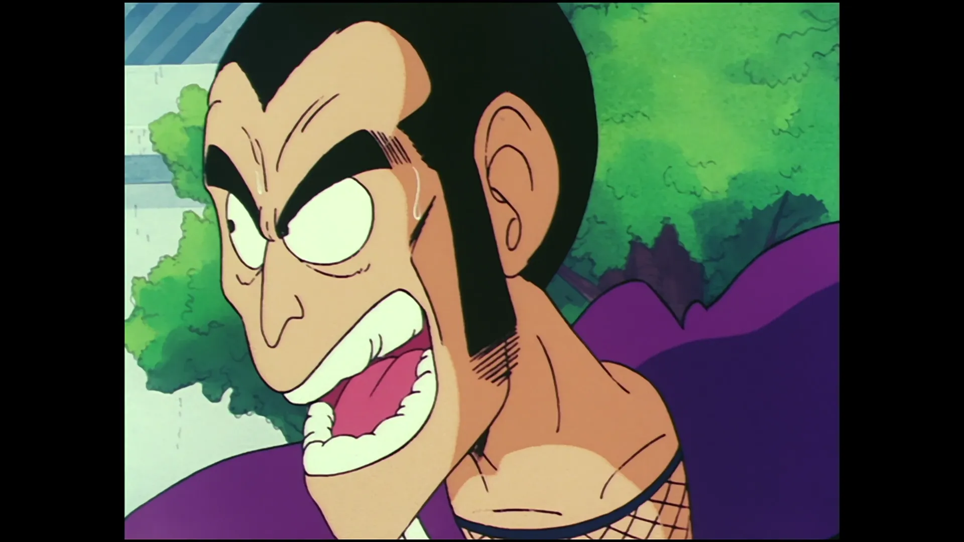 Five murasakis — capture 28 sur 30 (Dragon Ball)