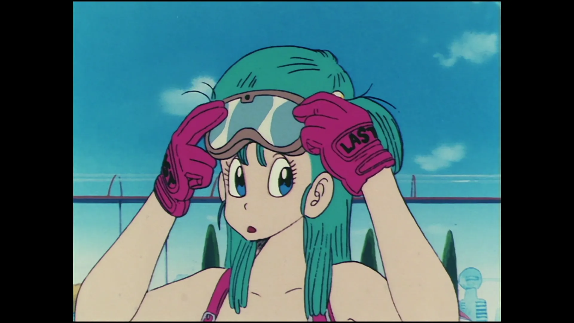 Master thief haski — capture 3 sur 30 (Dragon Ball)