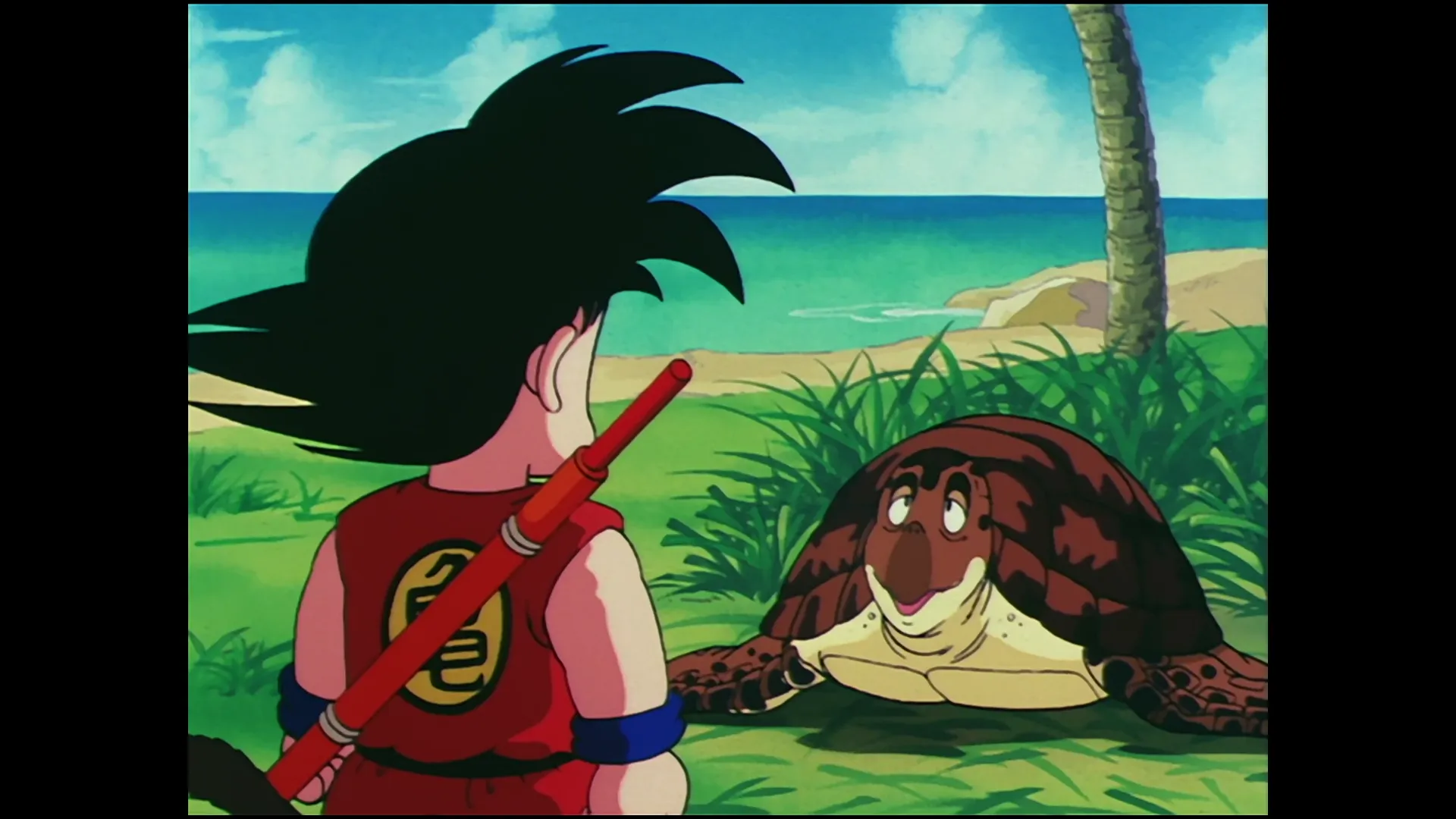 Kame house found — capture 5 sur 30 (Dragon Ball)