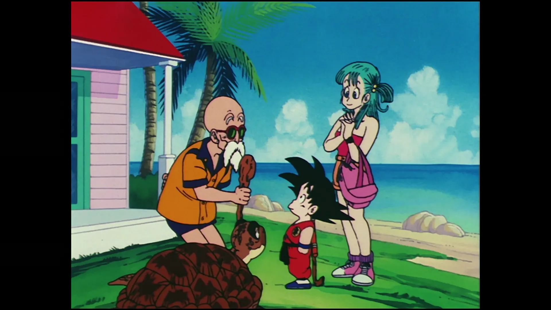 Kame house found — capture 9 sur 30 (Dragon Ball)