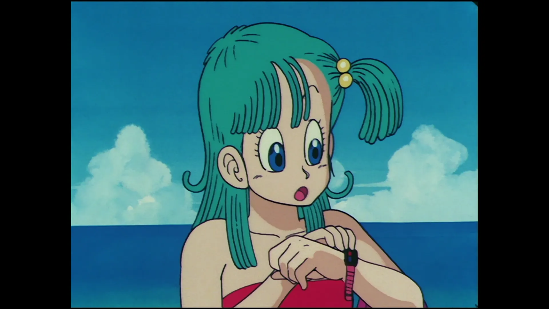 Kame house found — capture 10 sur 30 (Dragon Ball)
