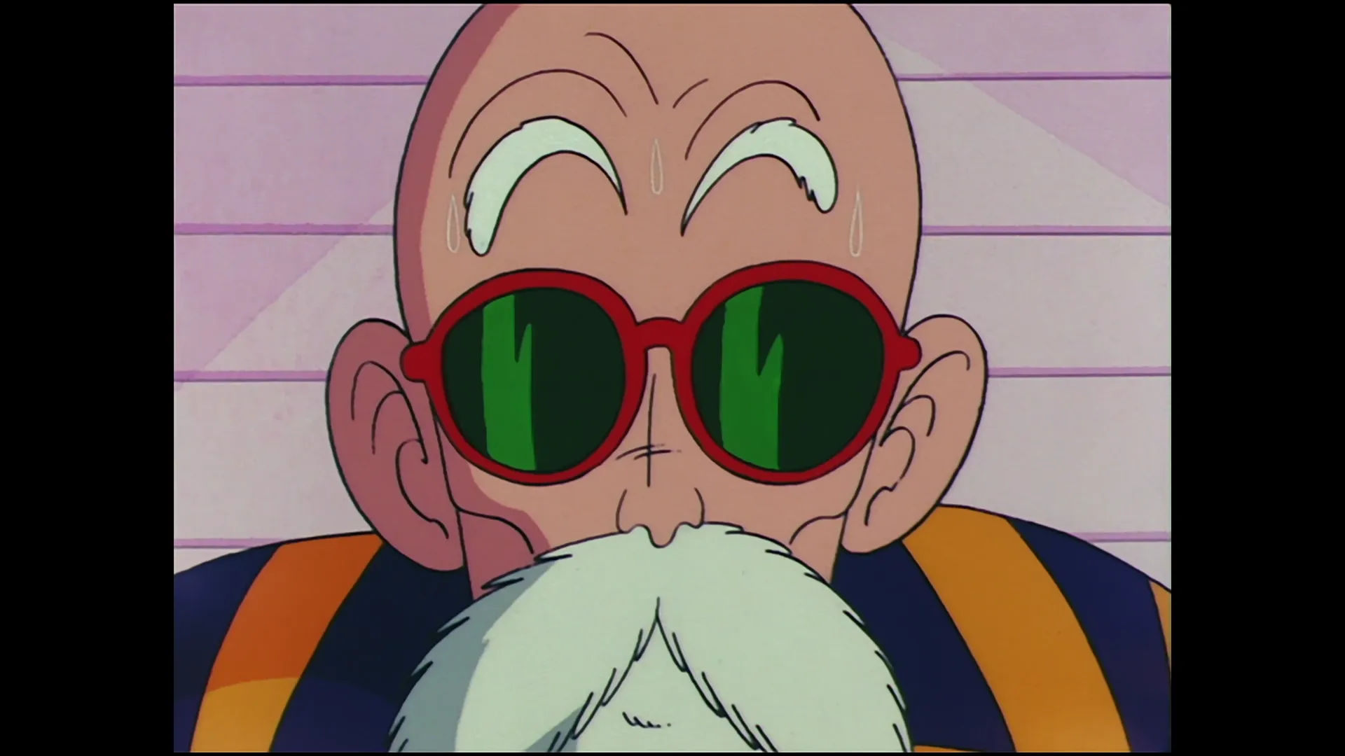 Kame house found — capture 14 sur 30 (Dragon Ball)