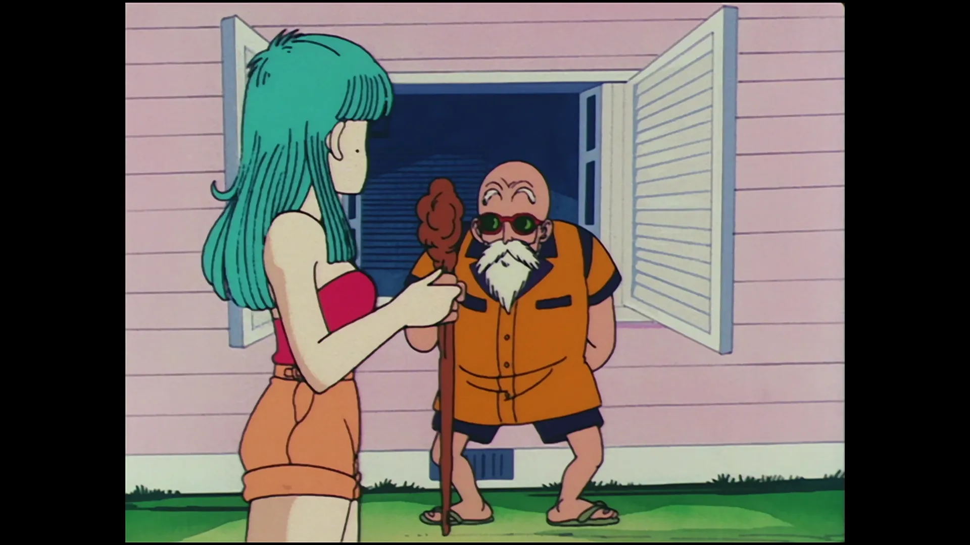 Kame house found — capture 18 sur 30 (Dragon Ball)
