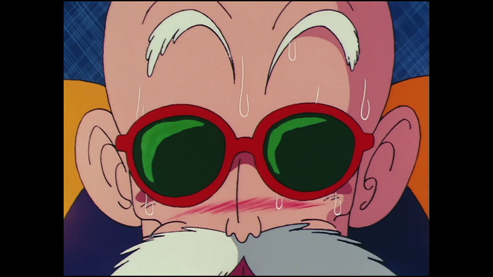 Kame house found — capture 19 sur 30 (Dragon Ball)