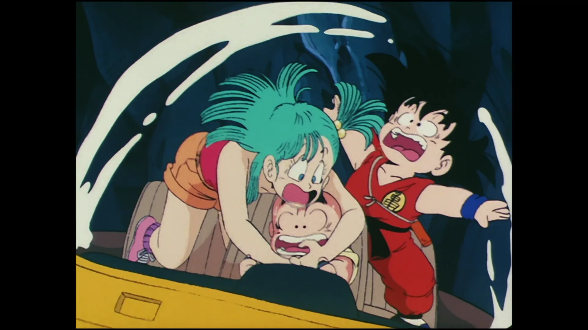 Roshi surprise — capture 23 sur 30 (Dragon Ball)