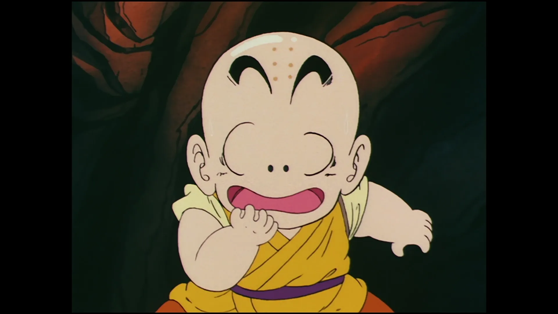 Roshi surprise — capture 30 sur 30 (Dragon Ball)