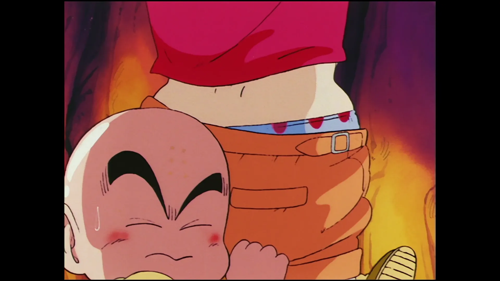 The trap is sprung — capture 20 sur 30 (Dragon Ball)