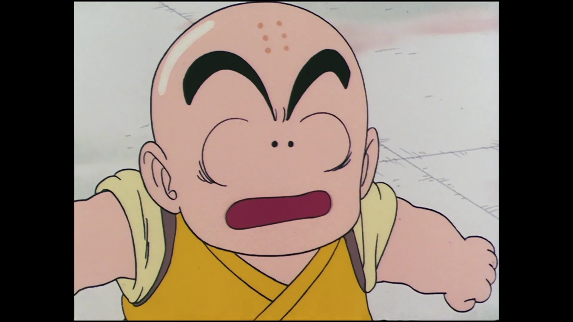 The trap is sprung — capture 29 sur 30 (Dragon Ball)