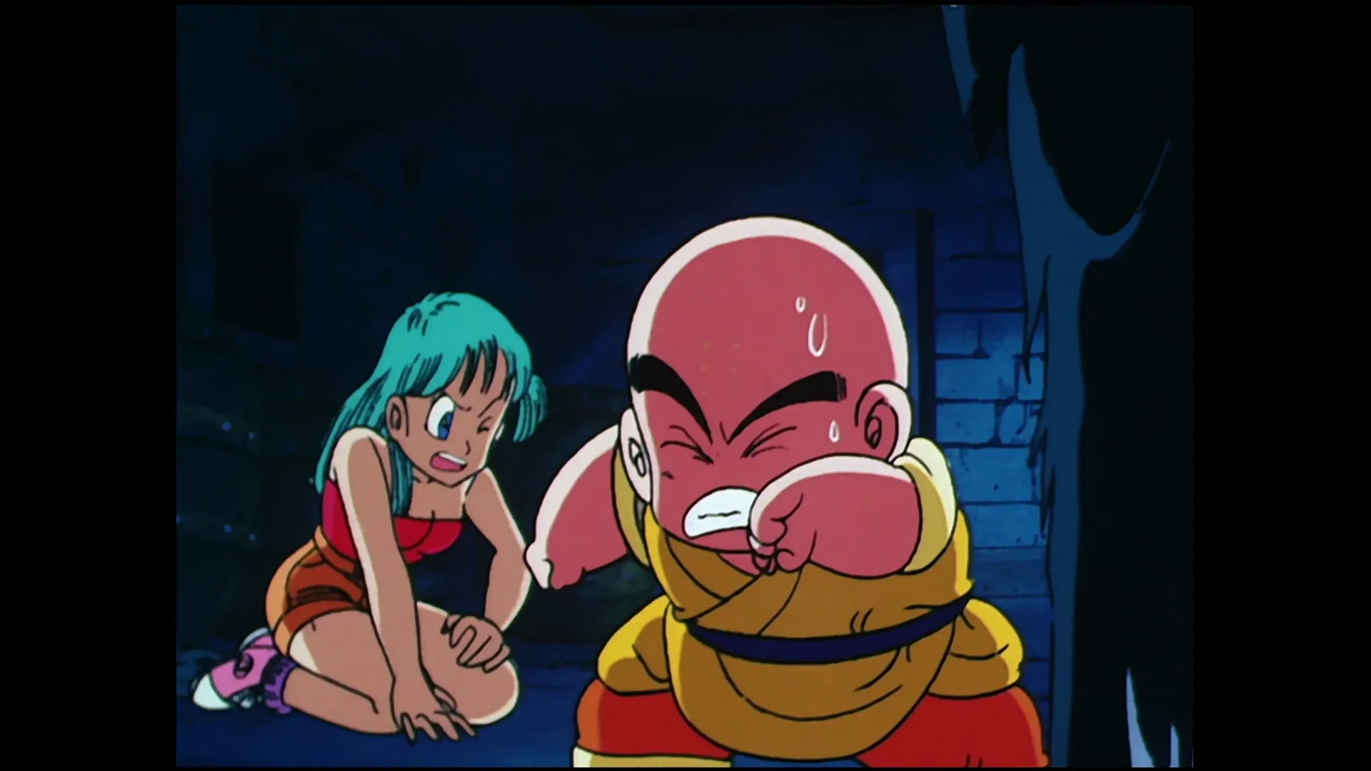 Beware of robot — capture 19 sur 30 (Dragon Ball)
